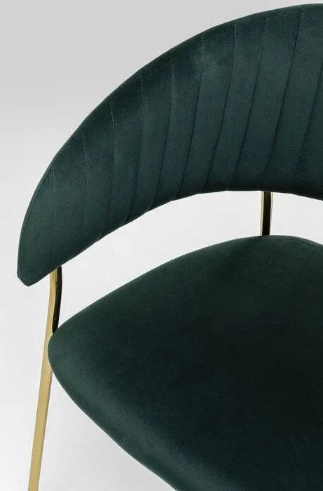Belle Velvet Gold Chair with Armrest (2/Set)