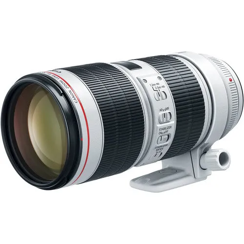 Canon EOS C100 Mark II  Dual Pixel CMOS AF 0202C002 Triple Lens Kit   More