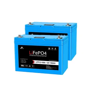 Sungold Power 2 X 12V 100AH LiFePO4 Deep Cycle Lithium Battery / Bluetooth /Self-Heating
