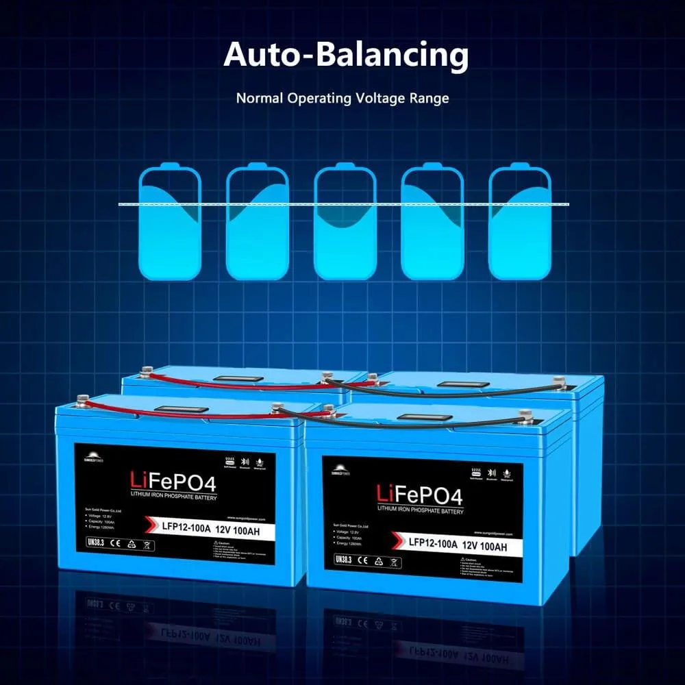 Sungold Power 2 X 12V 100AH LiFePO4 Deep Cycle Lithium Battery / Bluetooth /Self-Heating
